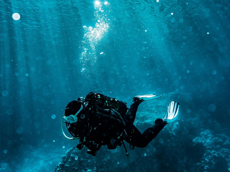 Diver in Melbourne waters with sunlight filtering through